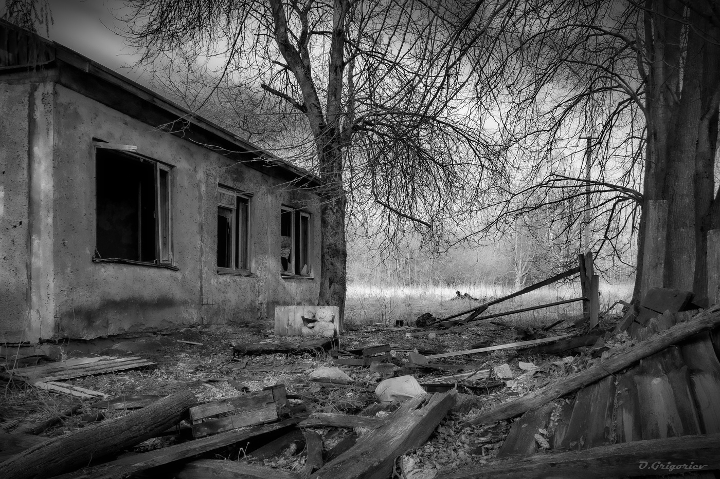 СЛЕПОЕ БЕЗЛЮДЬЕ