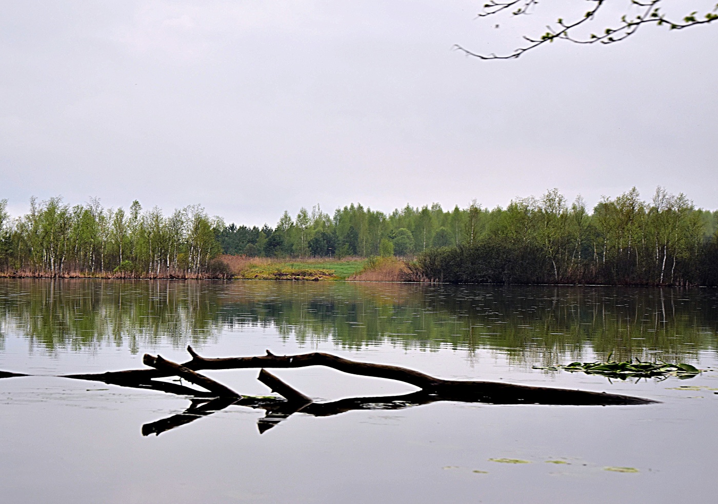 Кажется дождь собирается.....