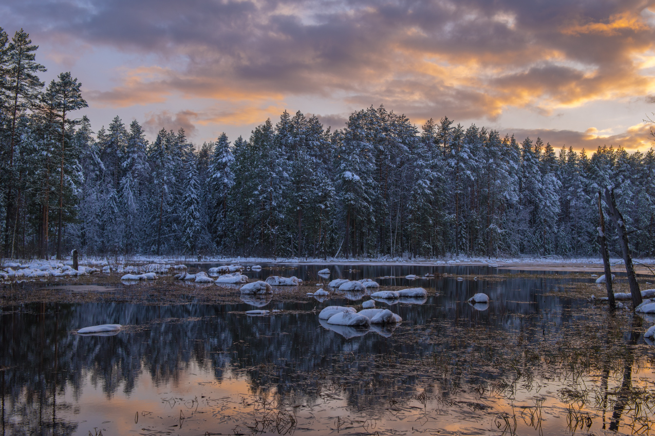 Поздний вечер. Суходол.