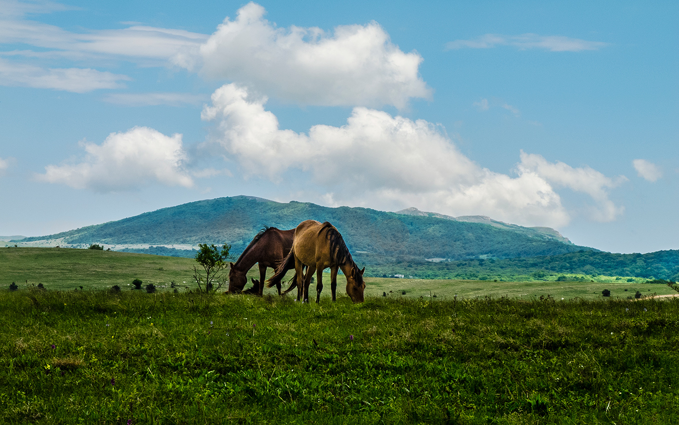 Утренний пейзаж