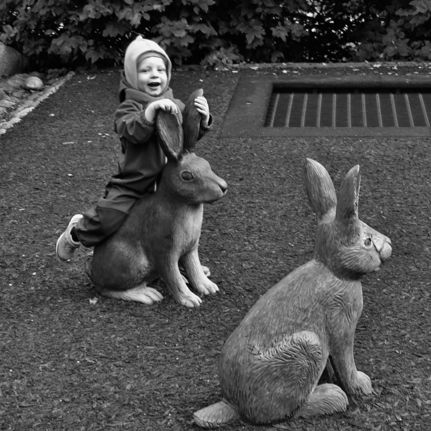 Умиротворённые зайки