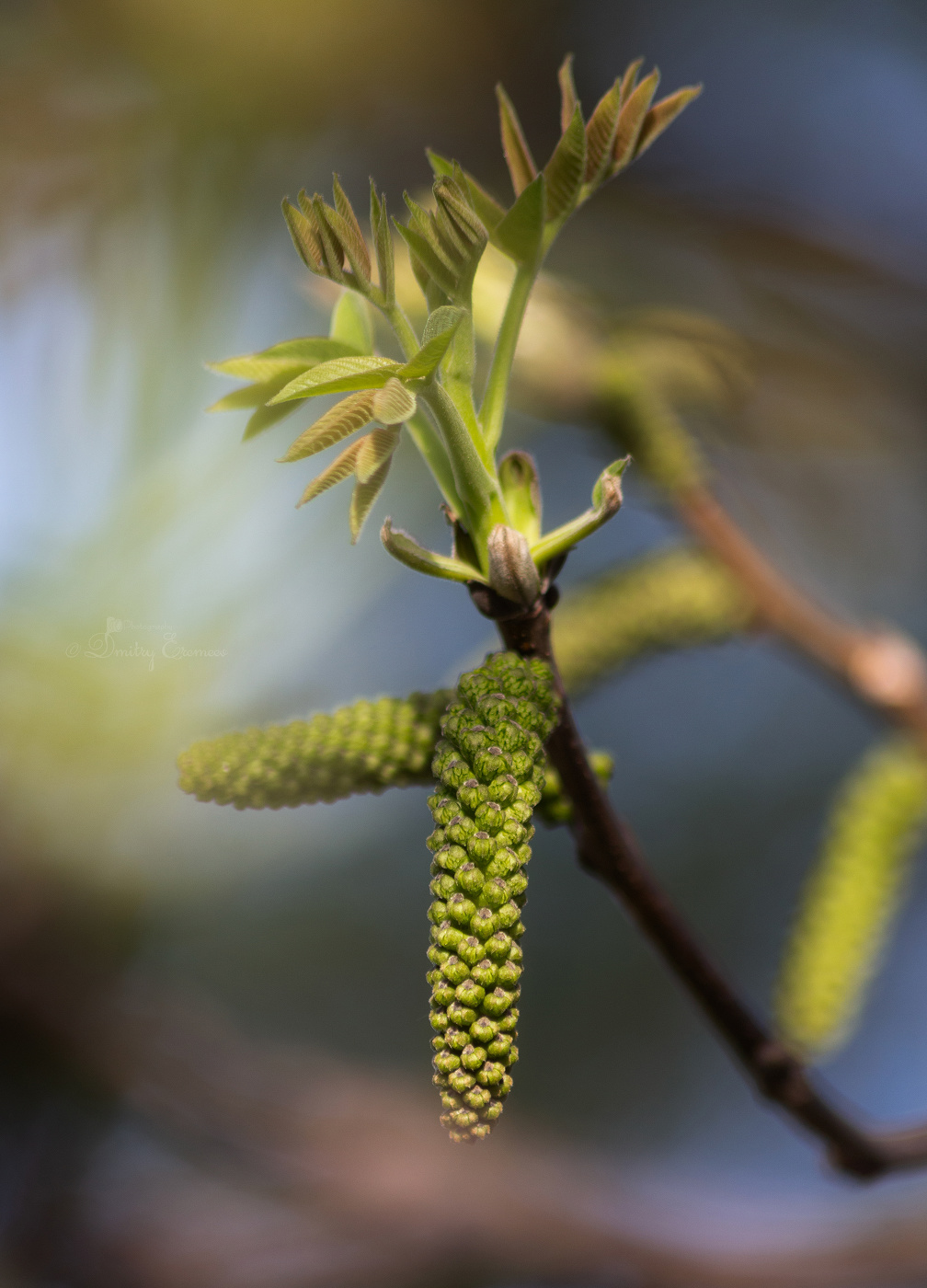 Апрельские зарисовки...