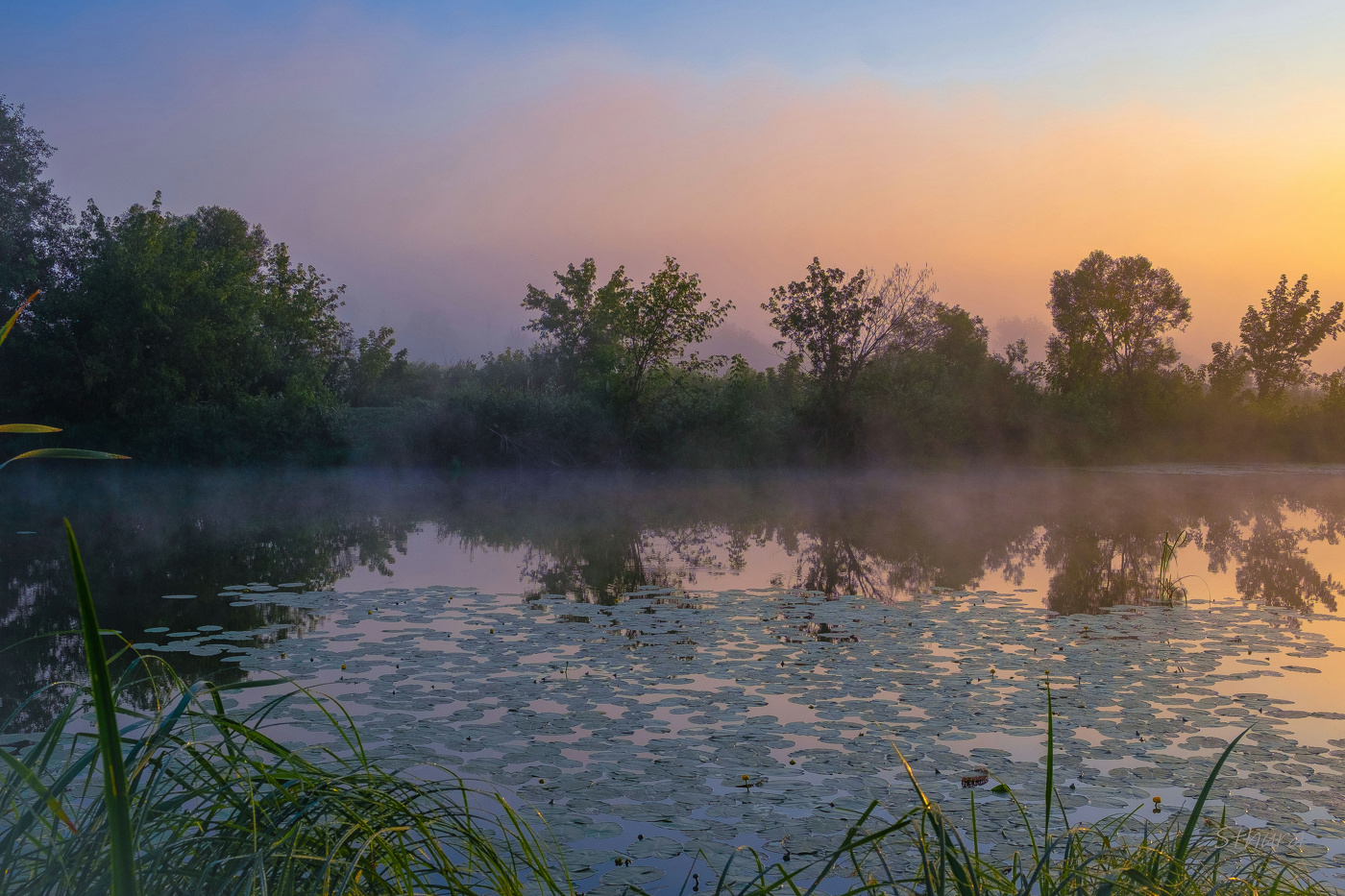 Тихое утро.