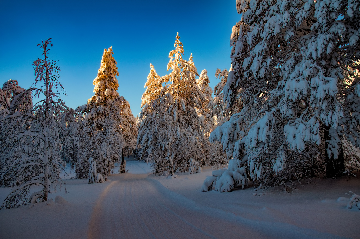 Вечерняя трасса