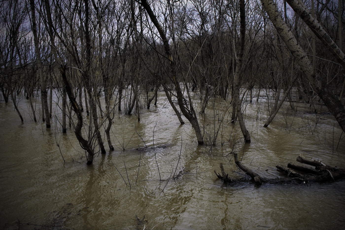 **Большая вода.*