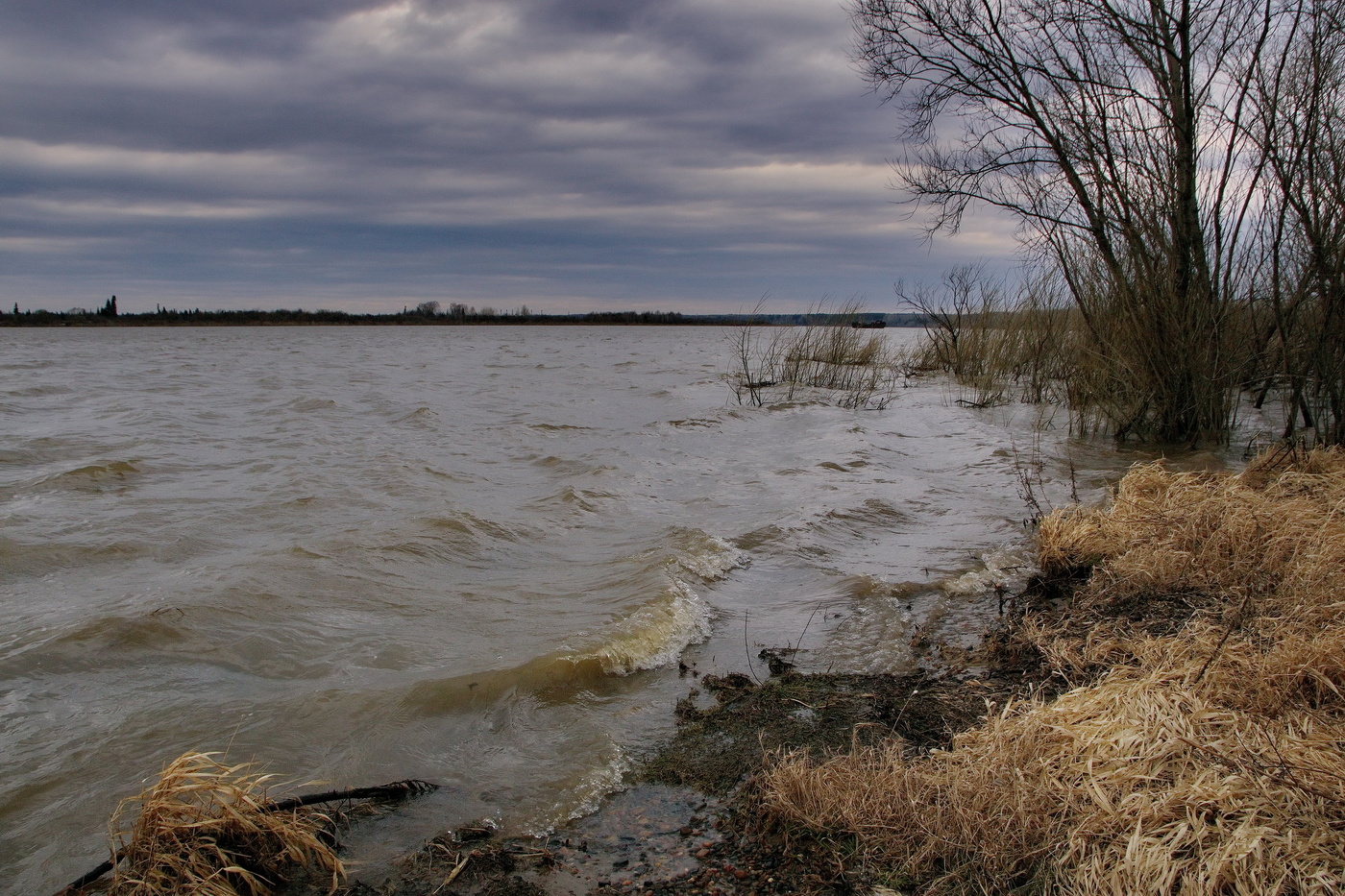 *Весенняя Томь.**
