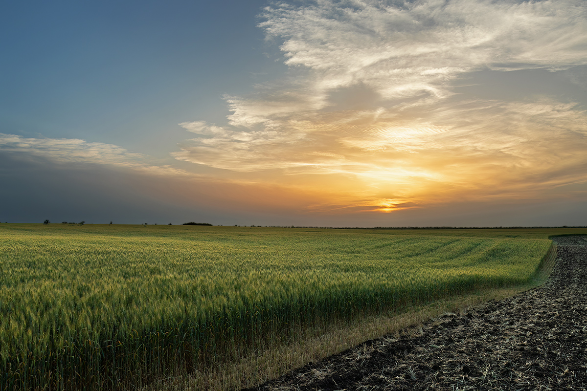 Закатная волна
