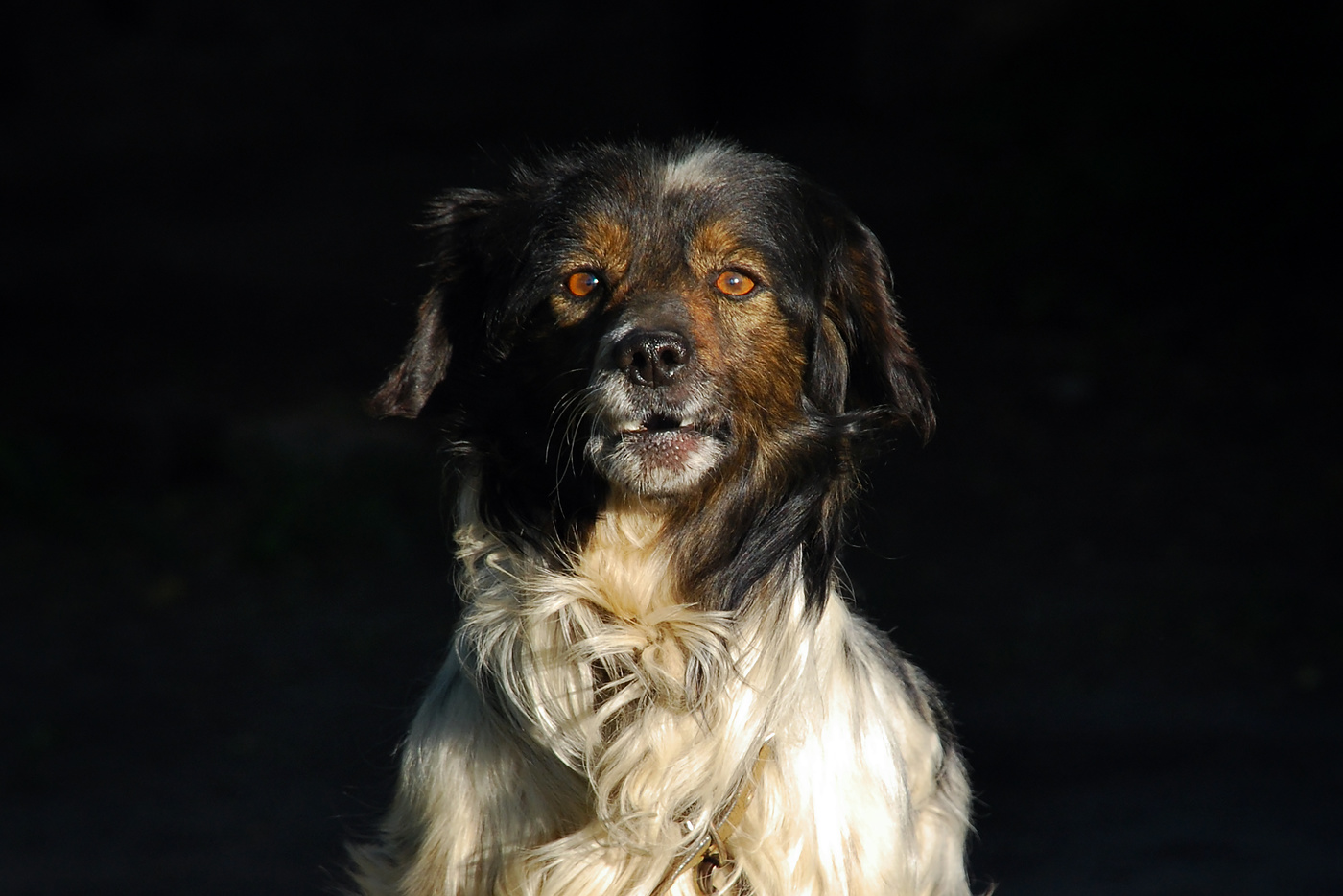 Потрет Друга