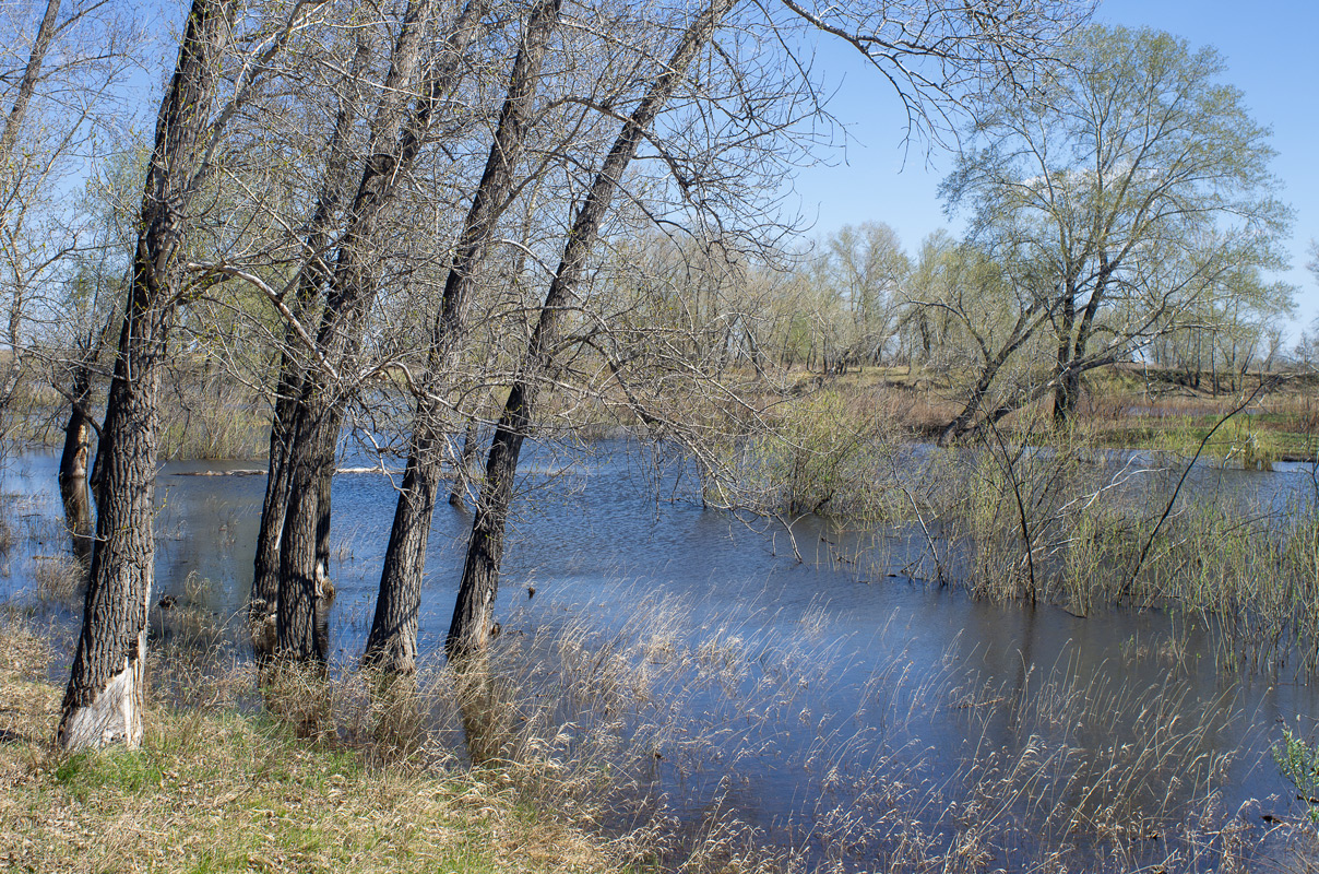 Большая вода