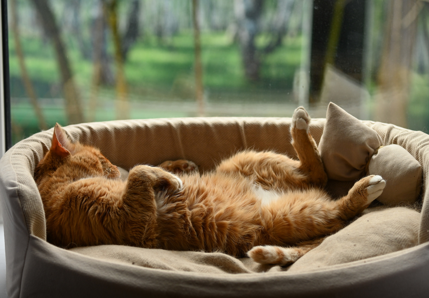 Кузьма Вадимович отдыхают...