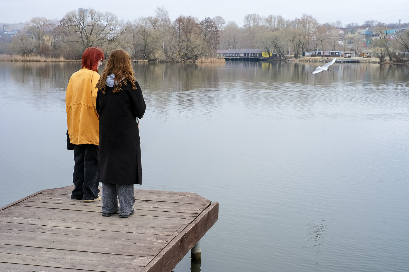 Ульяновск. Свияга...