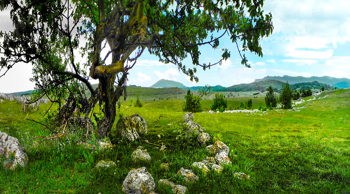 Уголок высокогорья