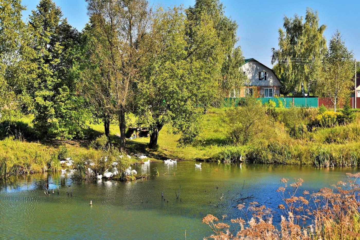 Хорошо иметь домик в деревне ...