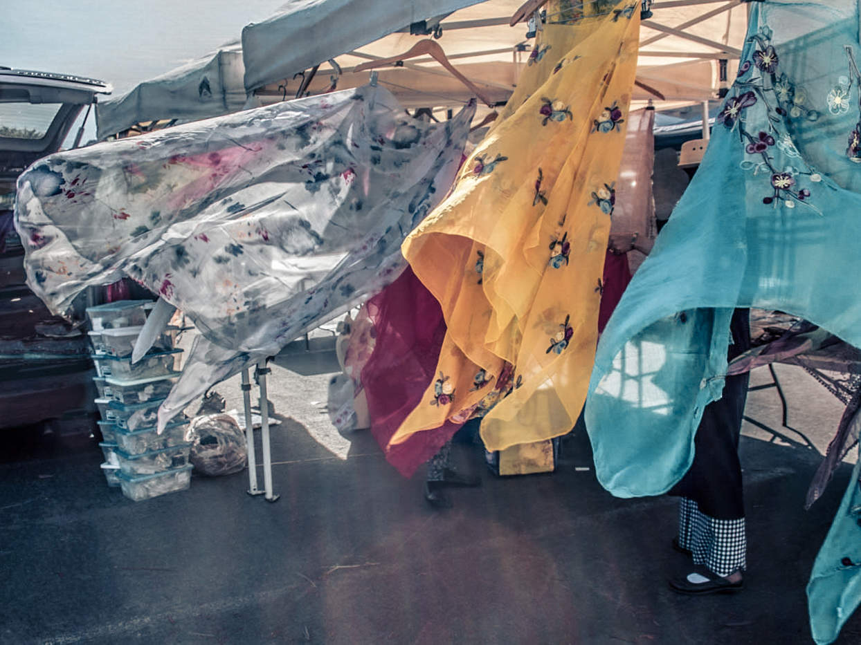 Всплеск цвета