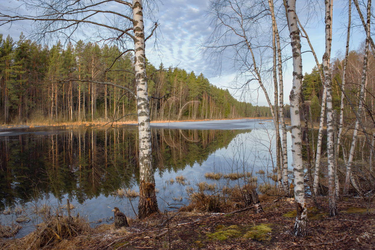 Первоапрельское утро