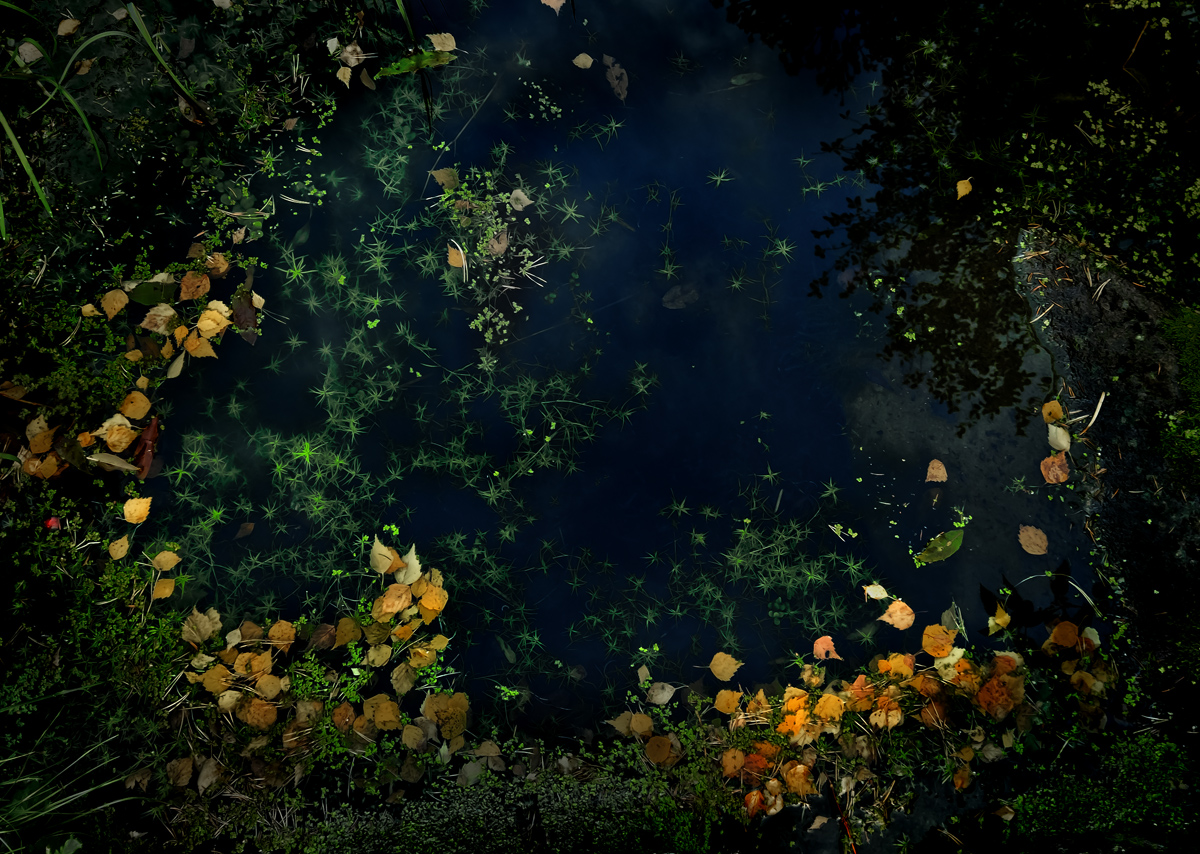 Осеннее настроение 1