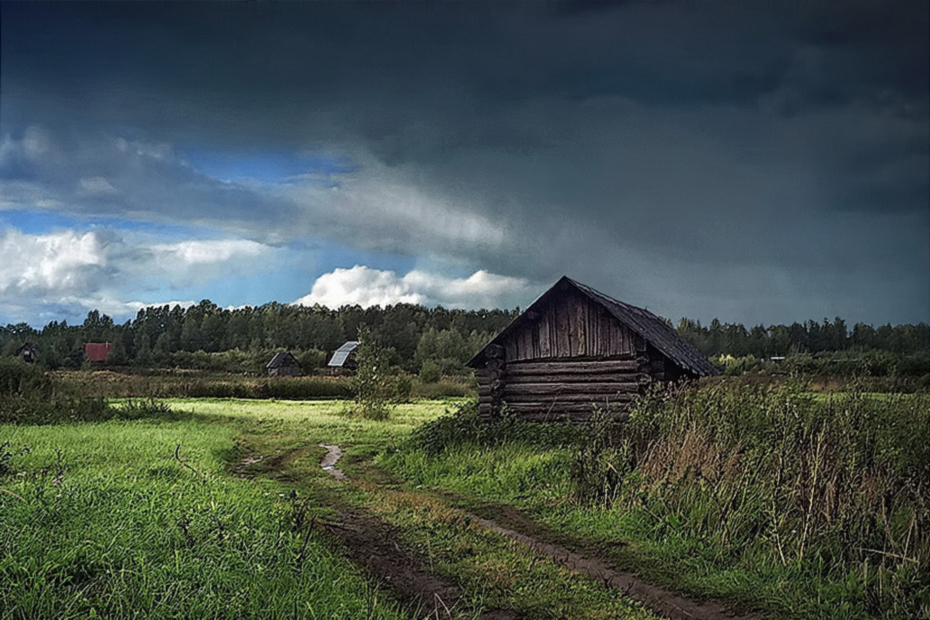 Занавес дождя.