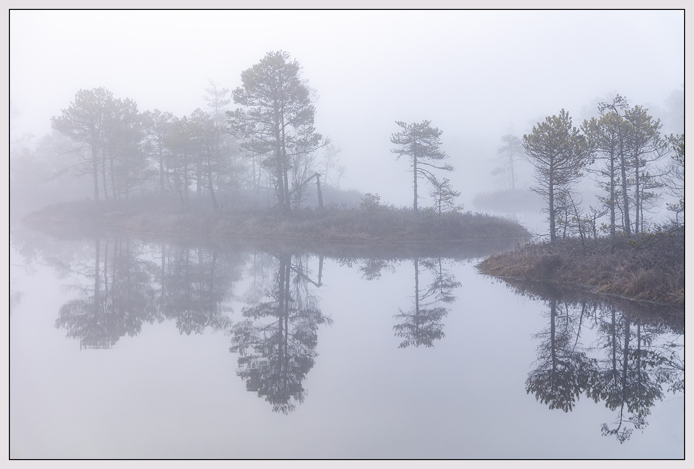 Плывущие в тумане