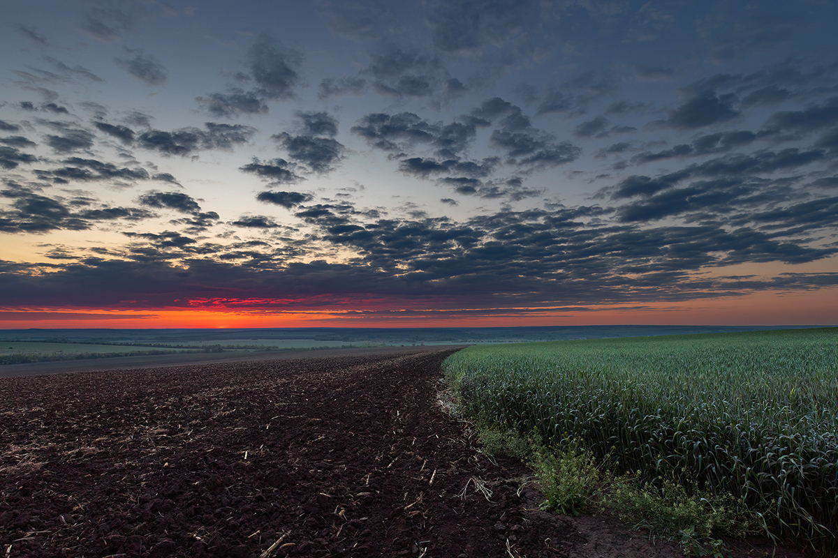 На краю поля, на краю ночи