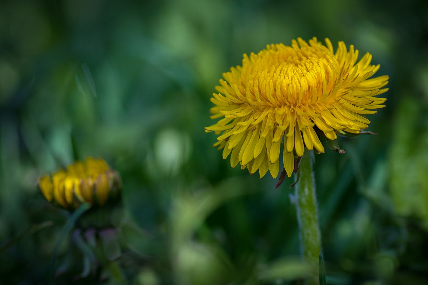 Пришла пора