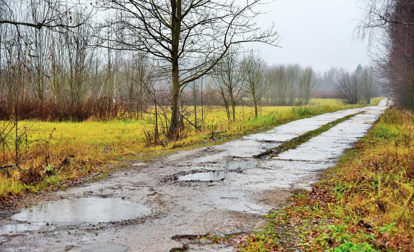 Дорога в осеннюю хандру ...