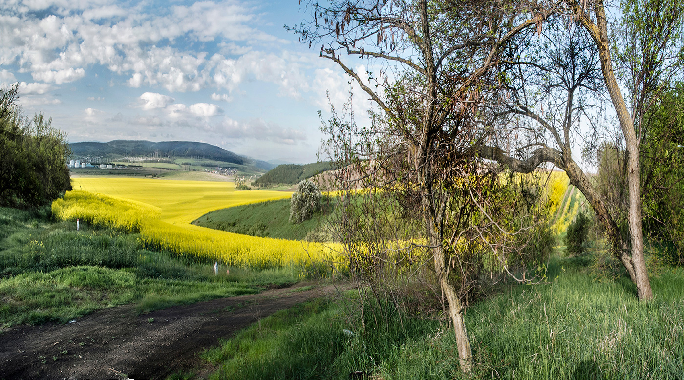 Сельские угодья