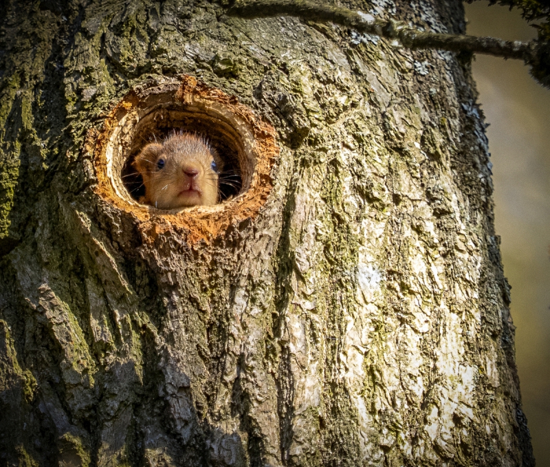 Всем приветик !