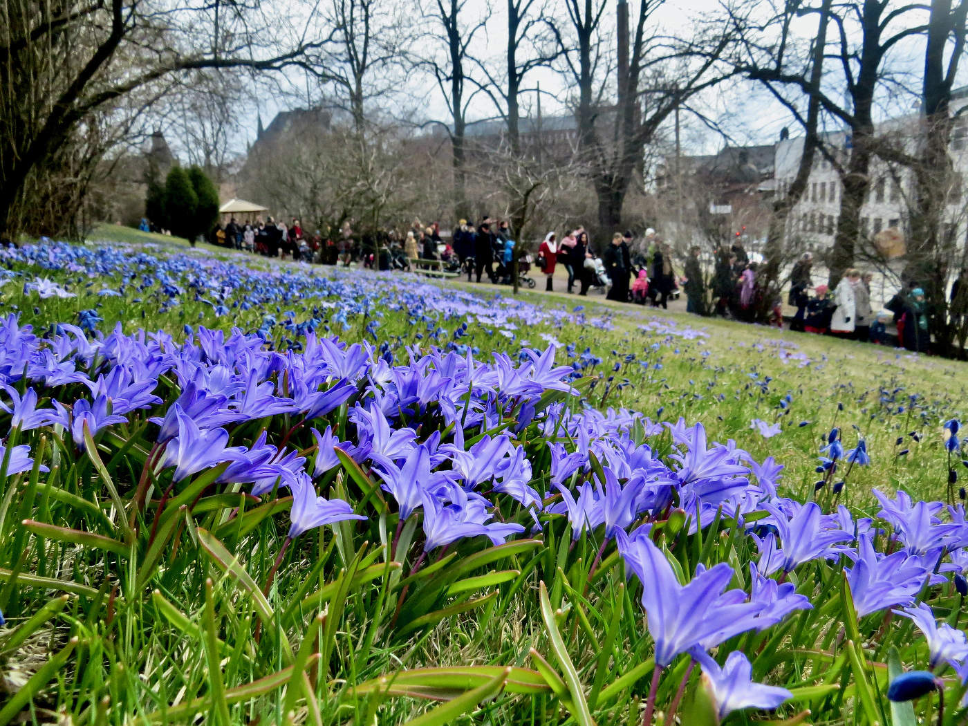 «Воскресение Христово видевше...»