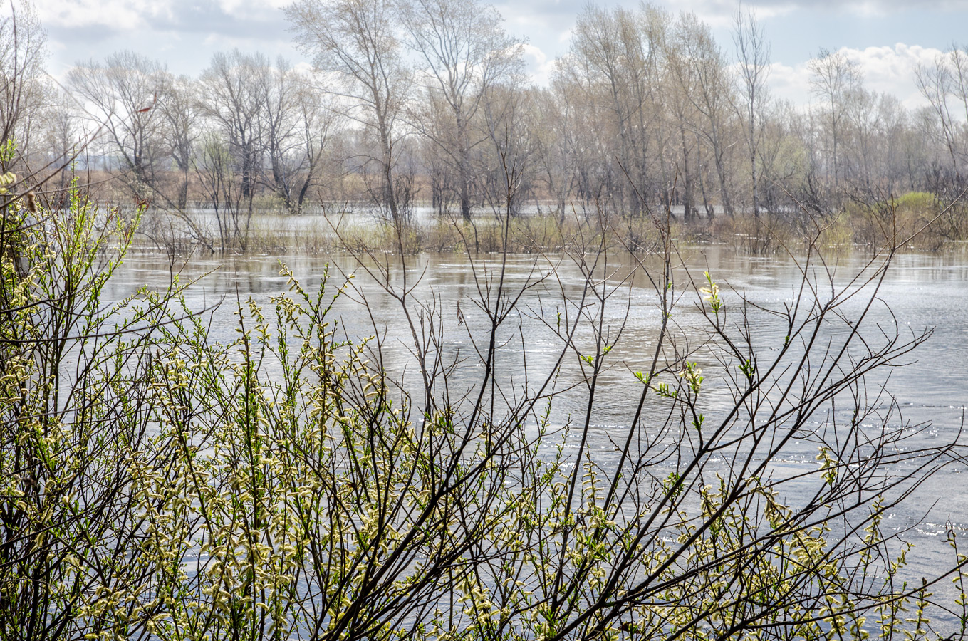 Большая вода