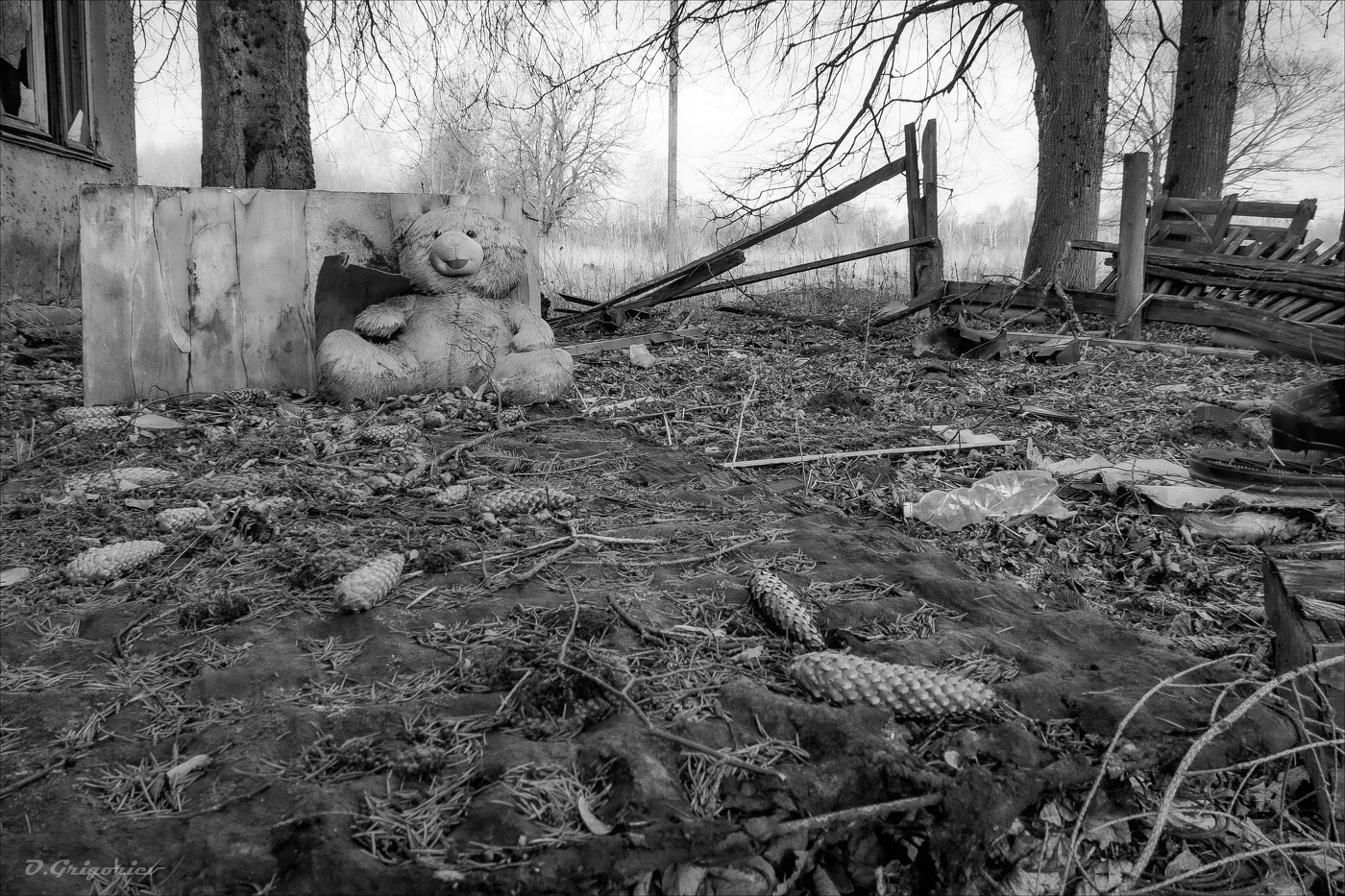 ДОМА ПОКИДАЯ...