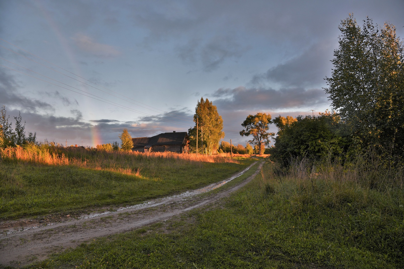 Вечером, после дождя ...