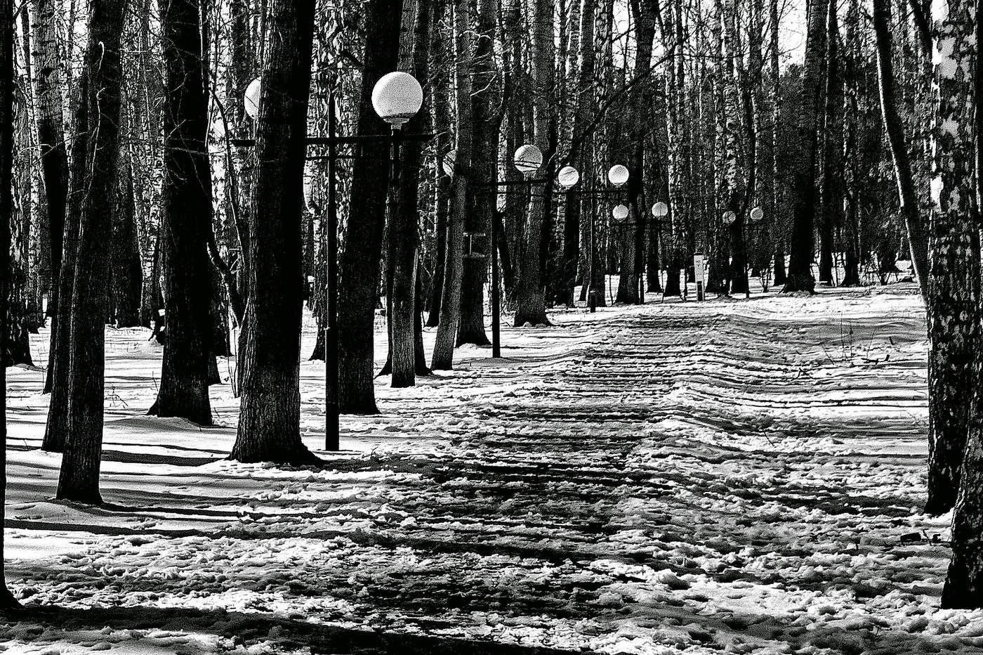 *Весенние аллеи.**