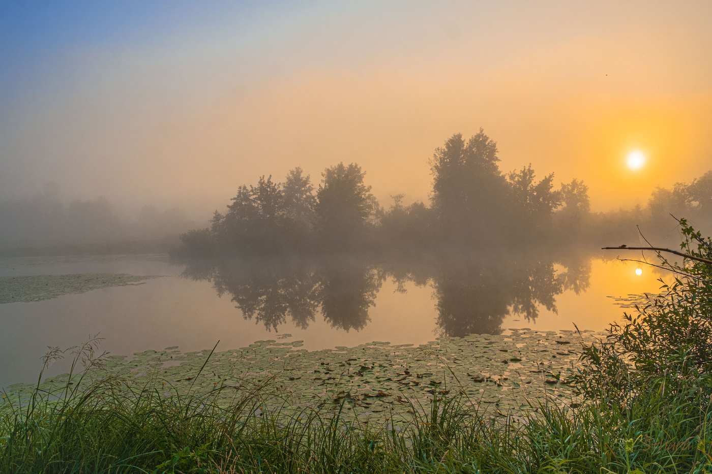 Летние туманы.