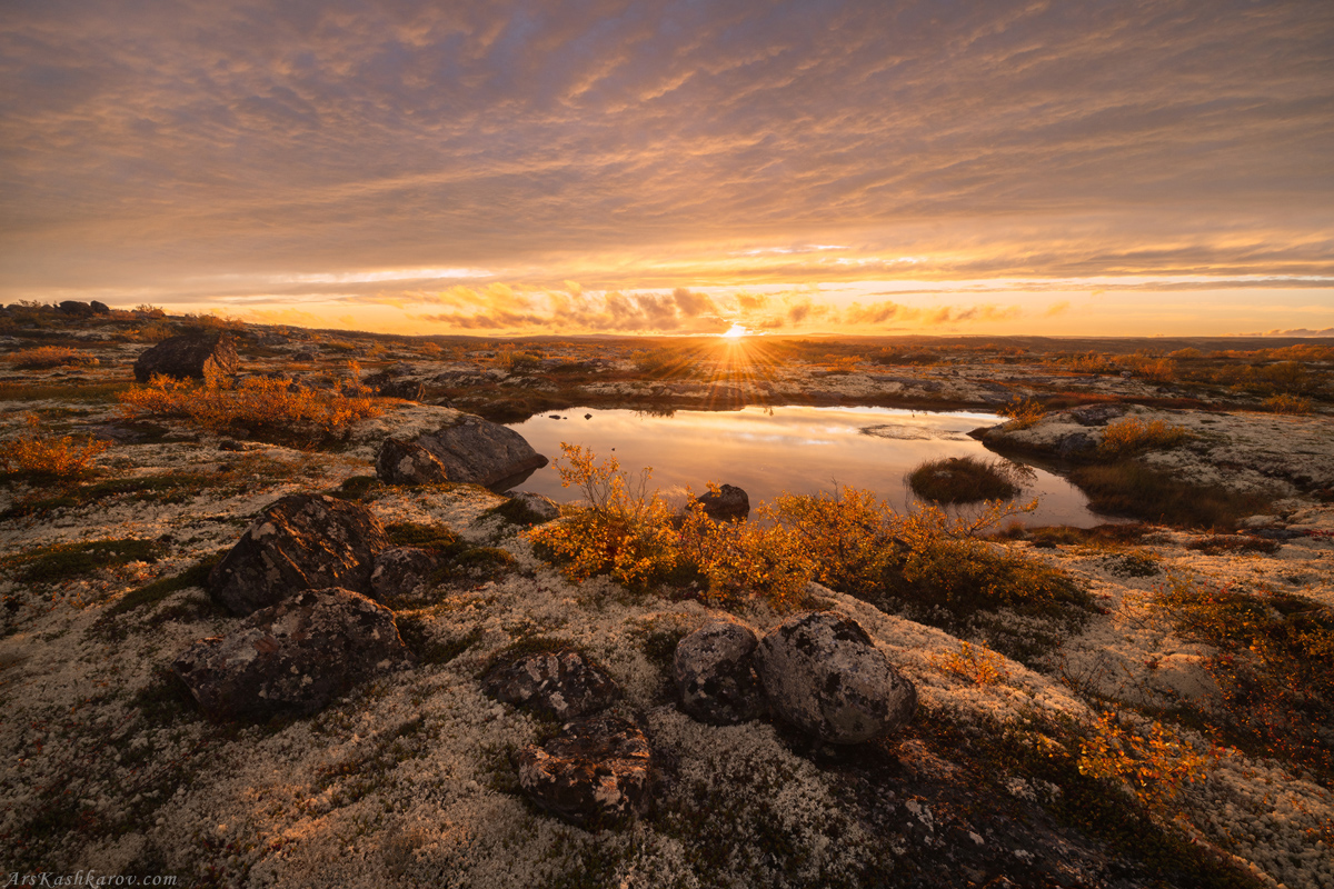 "Тундровые озера"