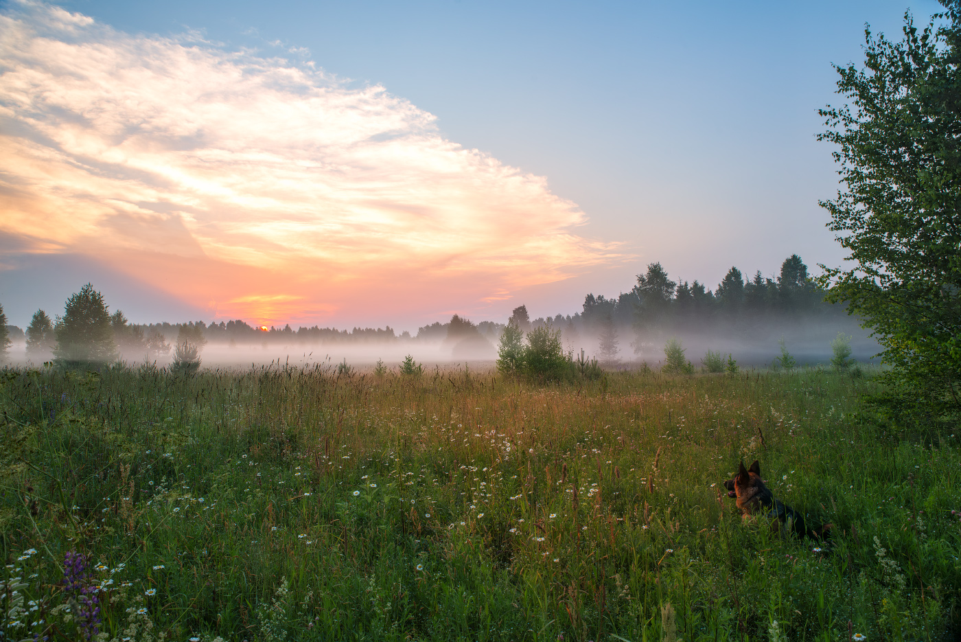 наблюдатель