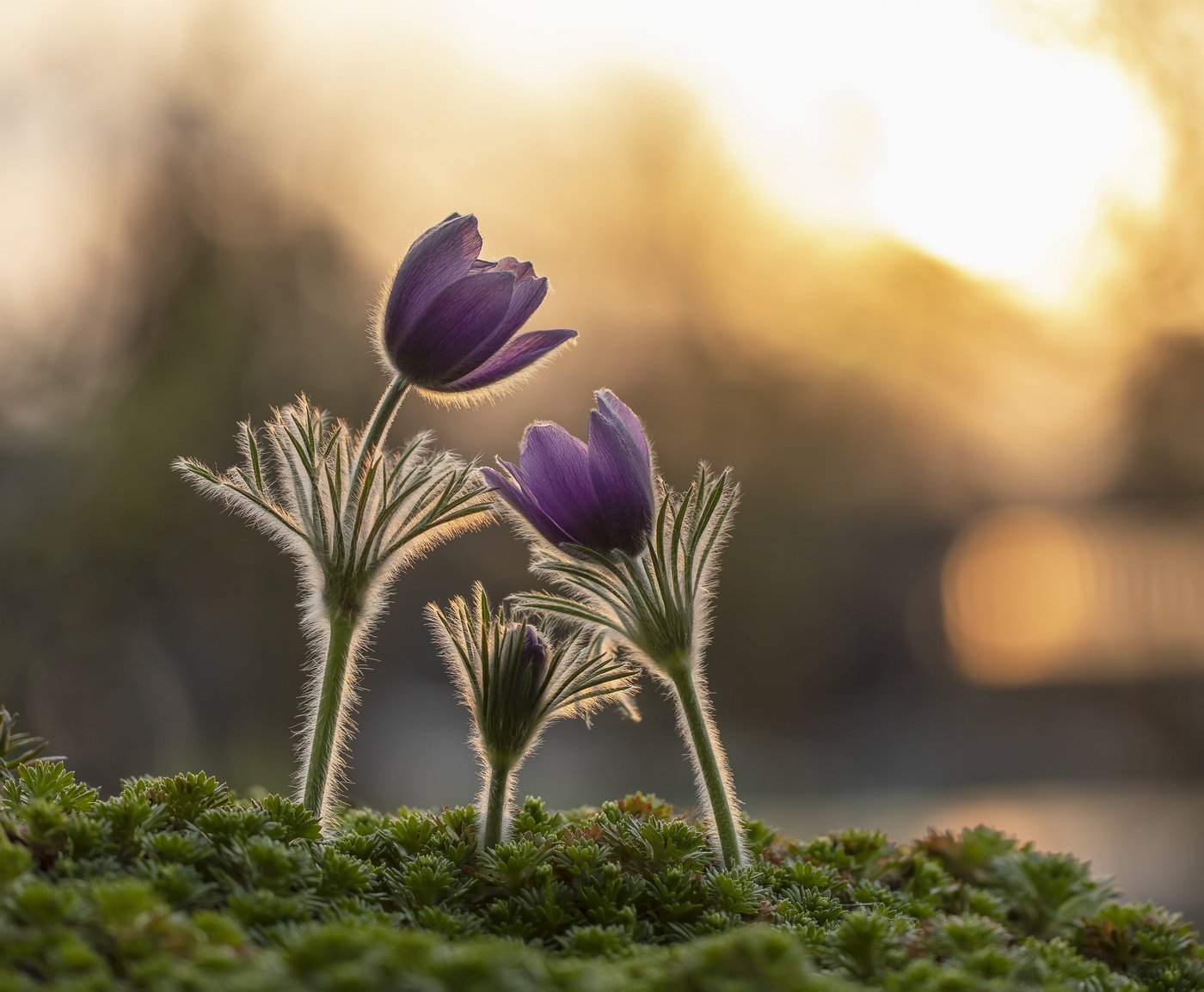 Когда третий не лишний