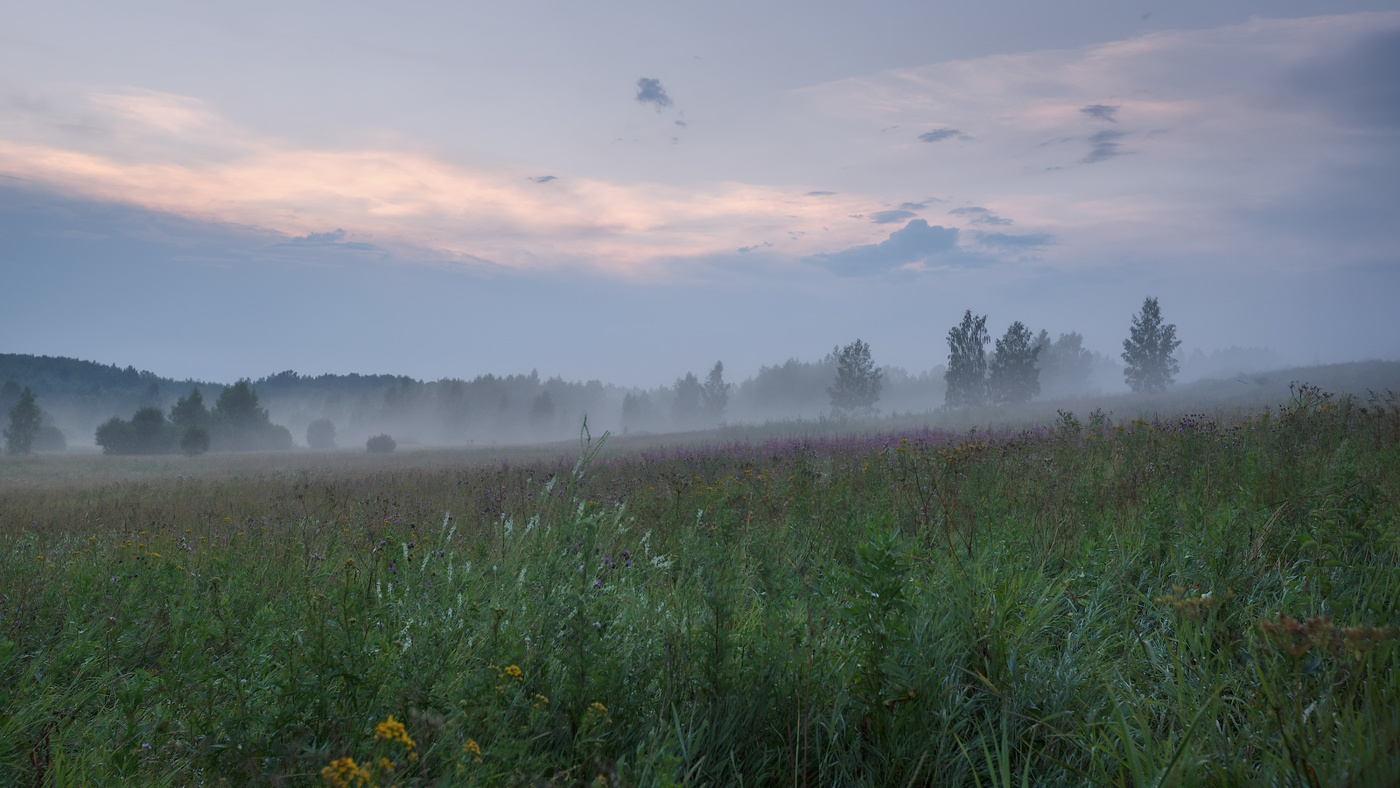 Туманное лето забыть я не в силах