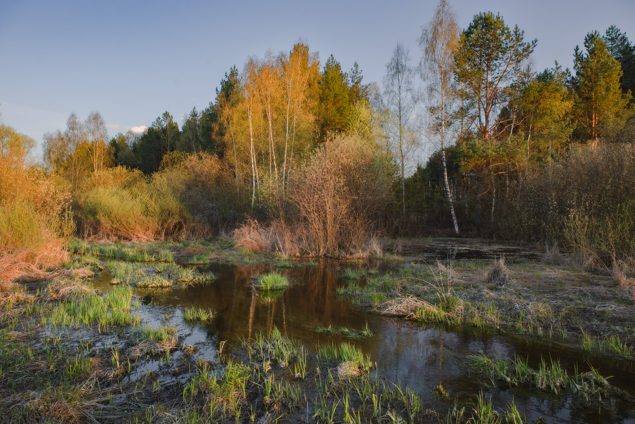 Апрельский вечер.