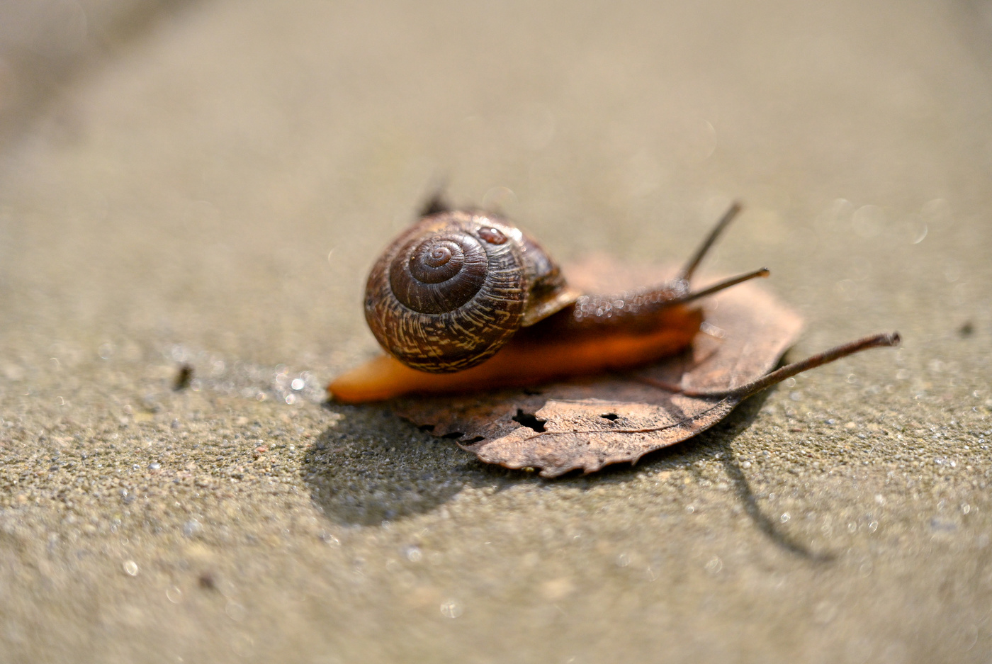 Прям лето...