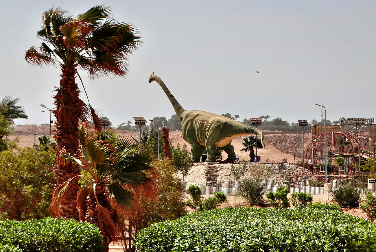В Голливуд-парке в Шарм-Эль-Шейхе