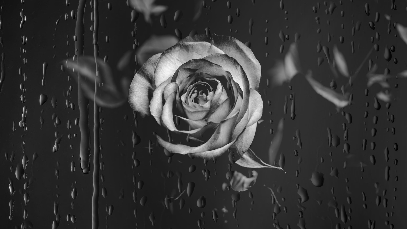 Черно-серая эстетика.