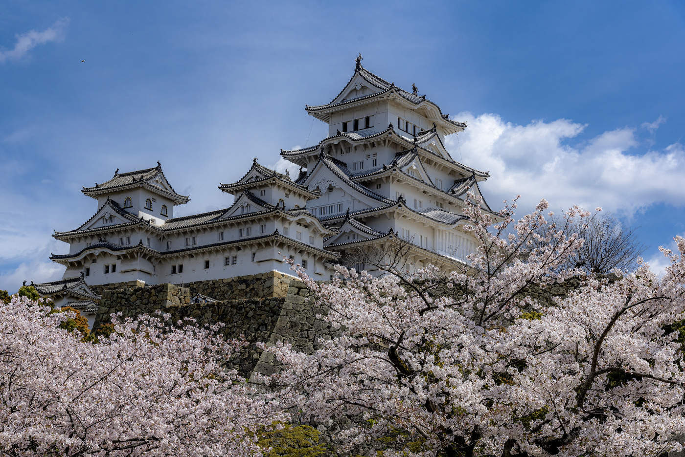 Замок Белой Цапли