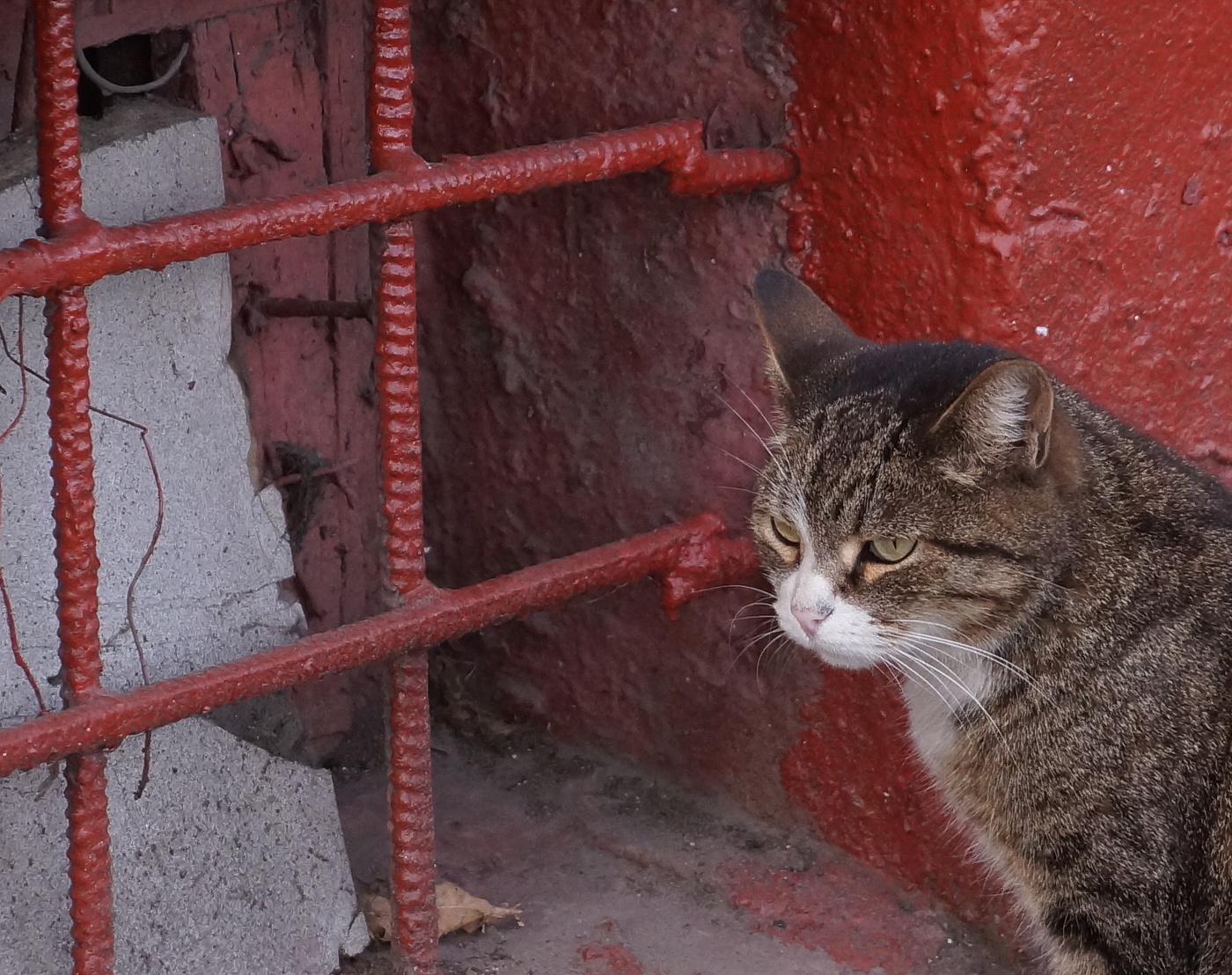 У последней черты