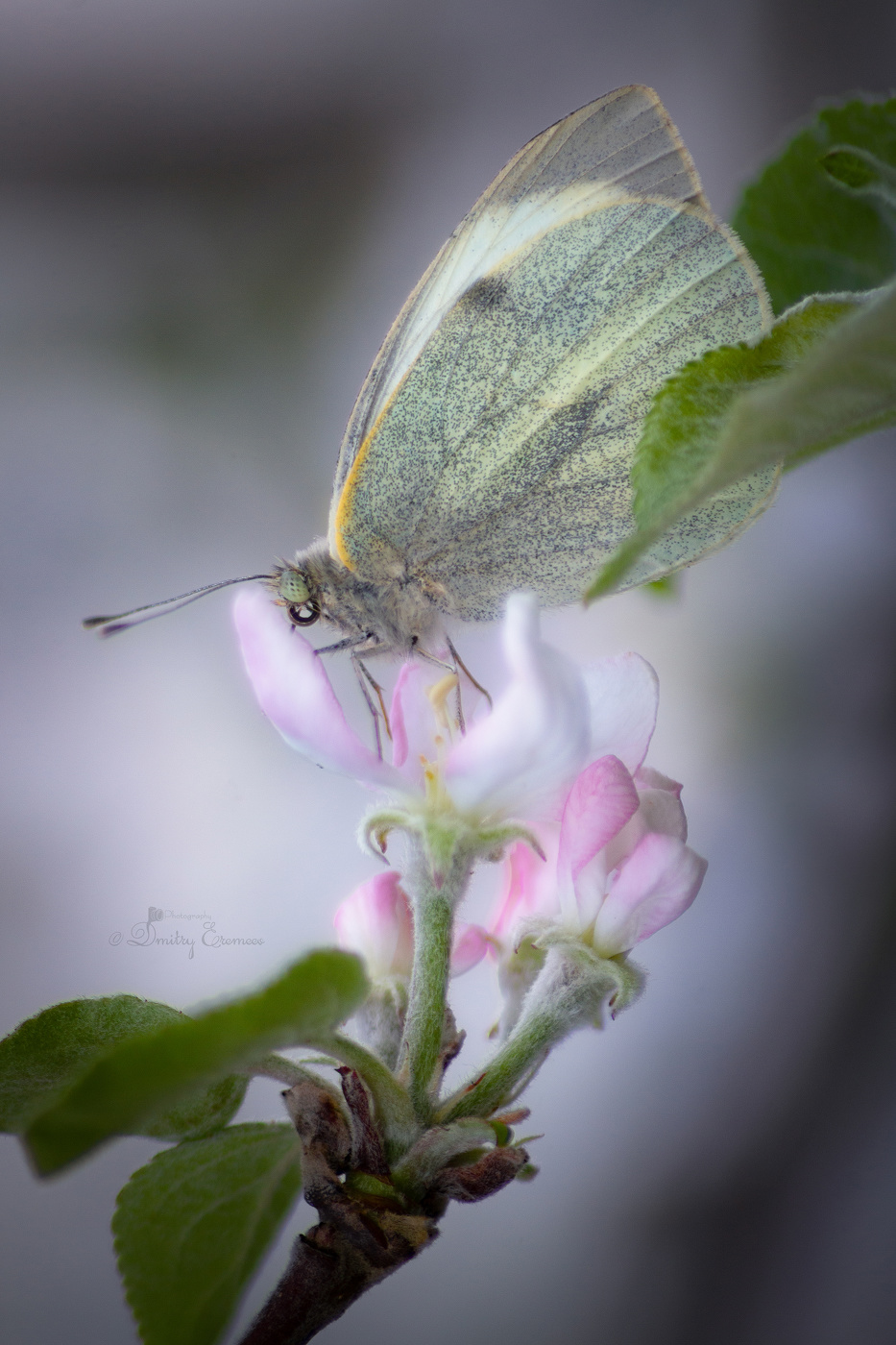 Апрельские мотивы..