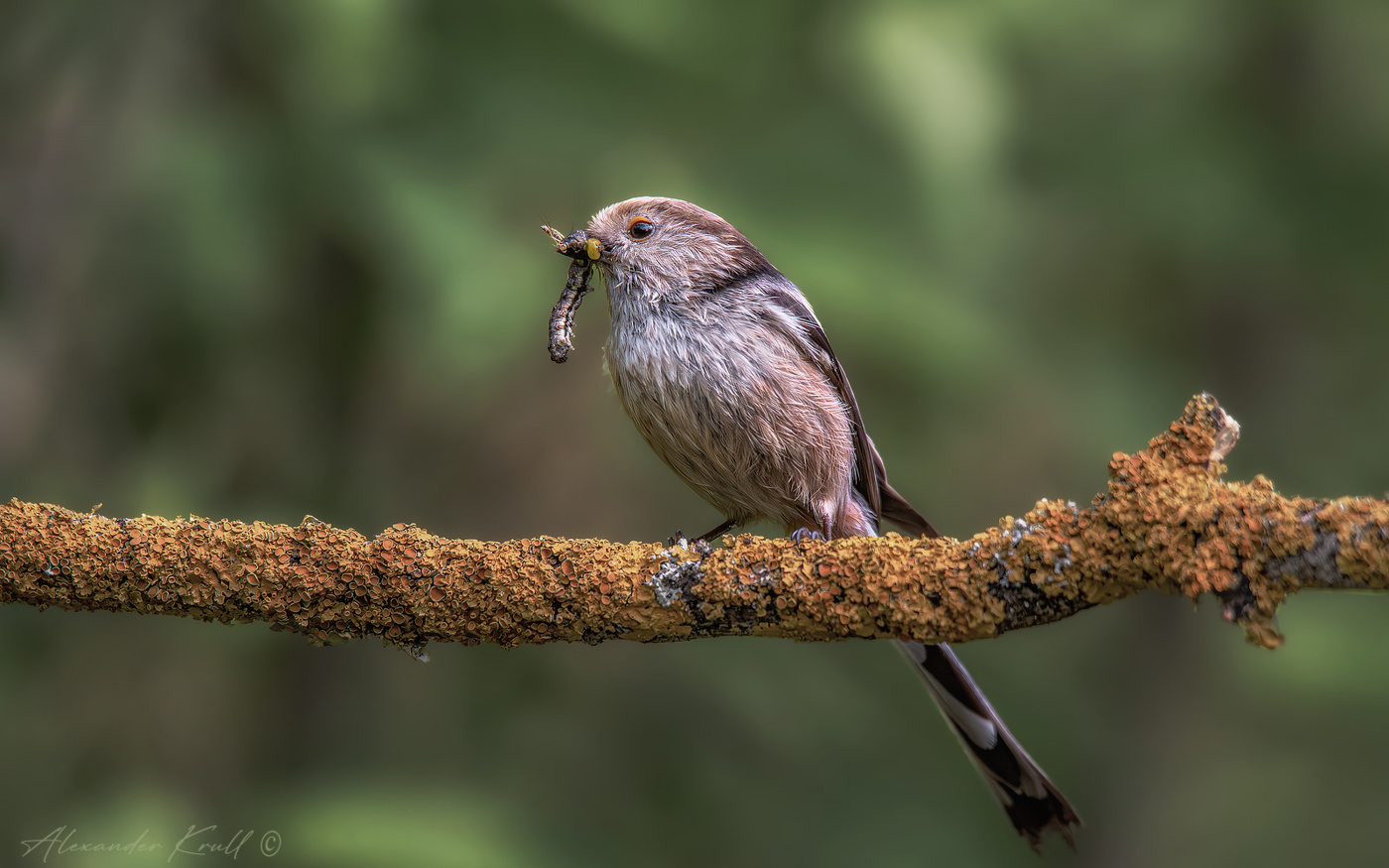 Все лучшее - детям!