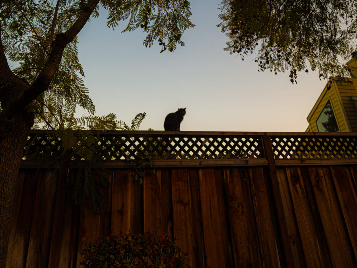 Взгляд с высоты