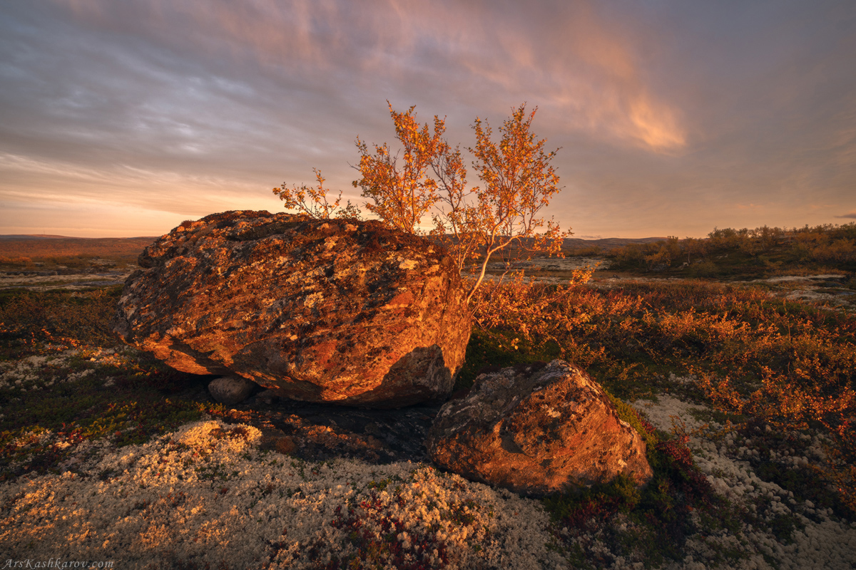 "Тундры Кольского полуострова"