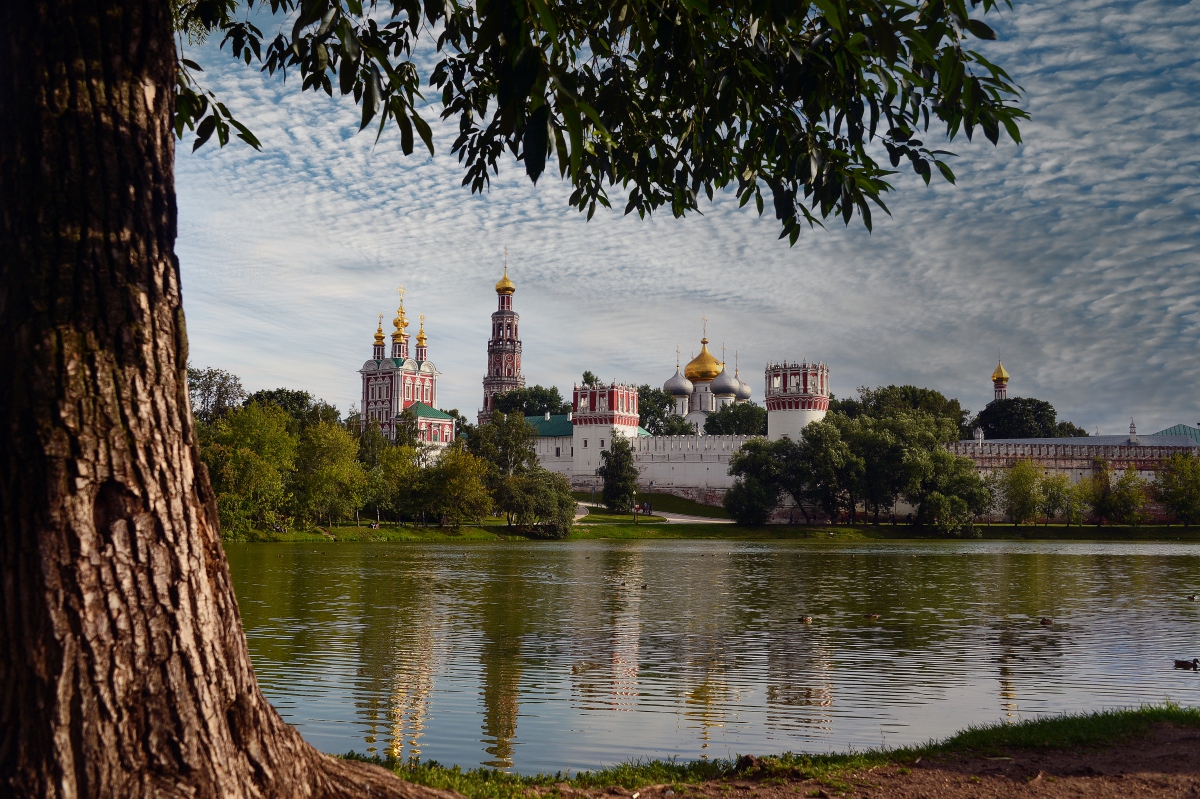 Новодевичий монастырь