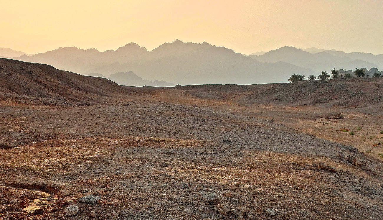 Оазис в горной пустыне