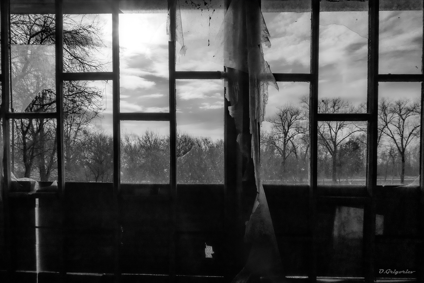 ОСКОЛКИ СУДЬБЫ